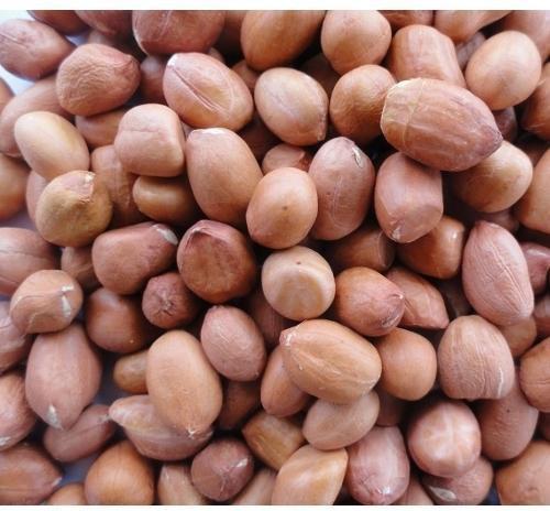 Raw Bold Groundnut Seeds, for Making Oil, Style : Natural