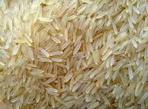 Organic Basmati Rice, for Human Consumption, Style : Dried