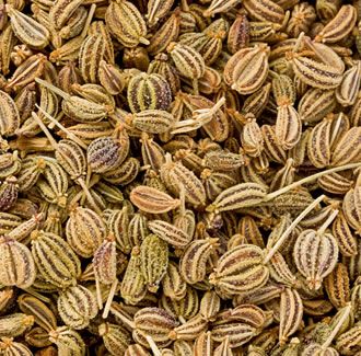 Ajowan Essential Oil