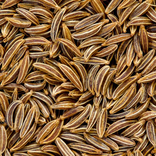 Caraway Seeds Essential Oil, Style : Dried