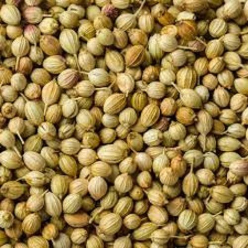 Natural coriander seeds, Certification : ISO 9001:2008