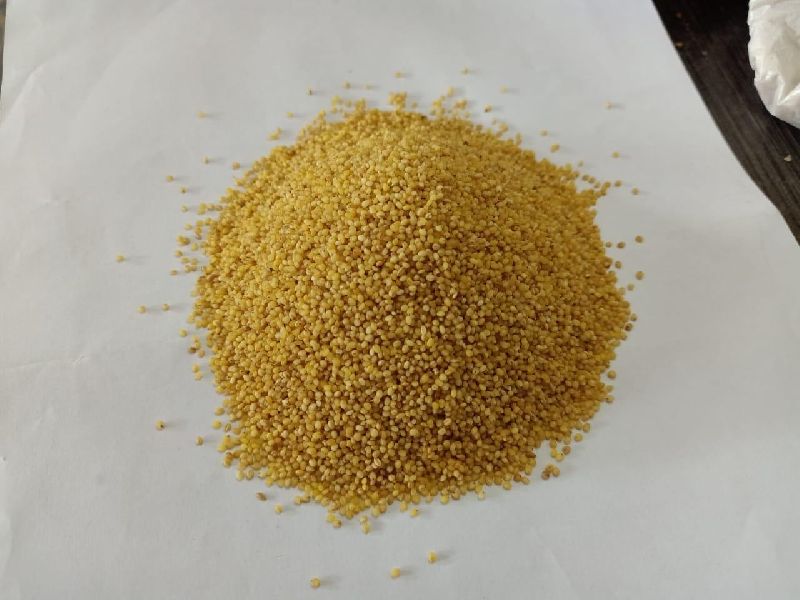 Organic foxtail millet, Packaging Size : 25kg