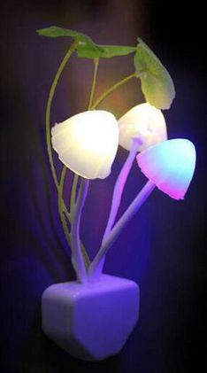 Designer LED Night Lamp, for Lighting, Certification : CE Certified