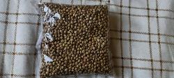 Natural coriander seeds, for Agriculture, Cooking, Food, Medicinal, Packaging Size : 50kg
