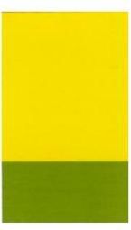 Gafast Yellow 4011 Pigment