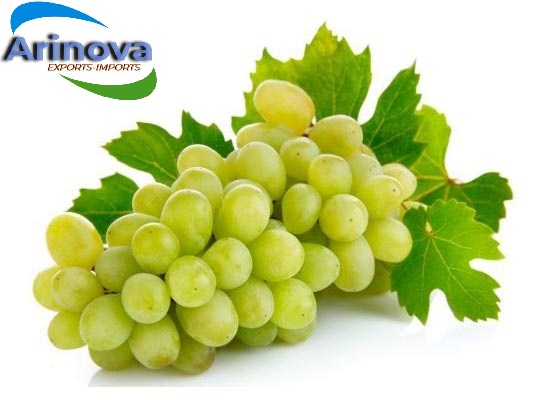 Fresh Seedless Grapes