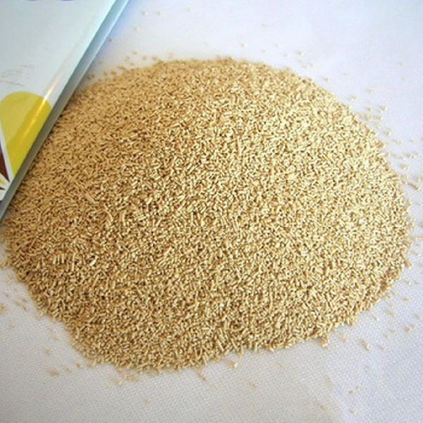 RAJVI ACTIVE DRY YEAST, for Feed, Feature : Fresh, Hygienically Packed, Non Harmful, Nutritious