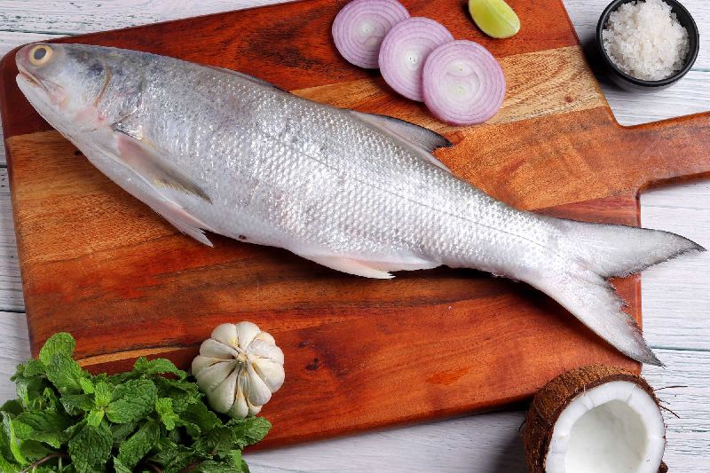 Fresh Indian Salmon Fish, Feature : Good For Health, Good Protein