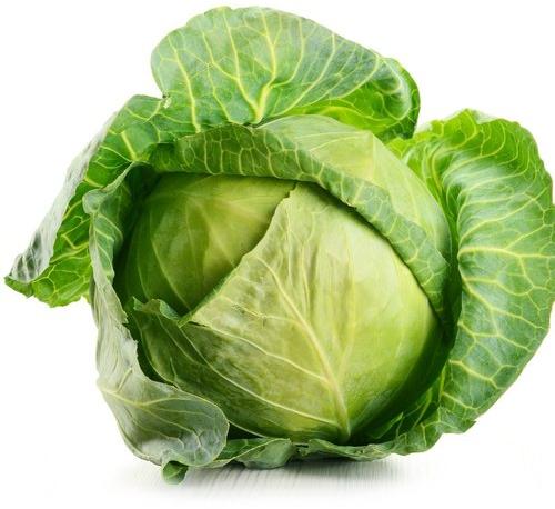 Organic Green Cabbage, for Pesticide Free, Packaging Type : 50Kg, 20Kg