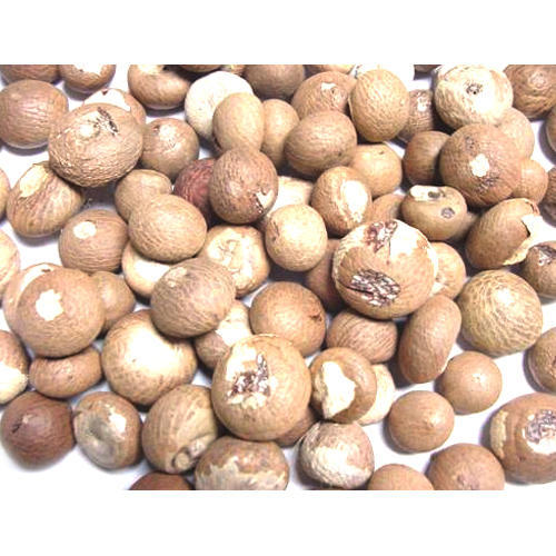 Organic Natural Betel Nuts, Shape : Oval, Round, Color : Brown