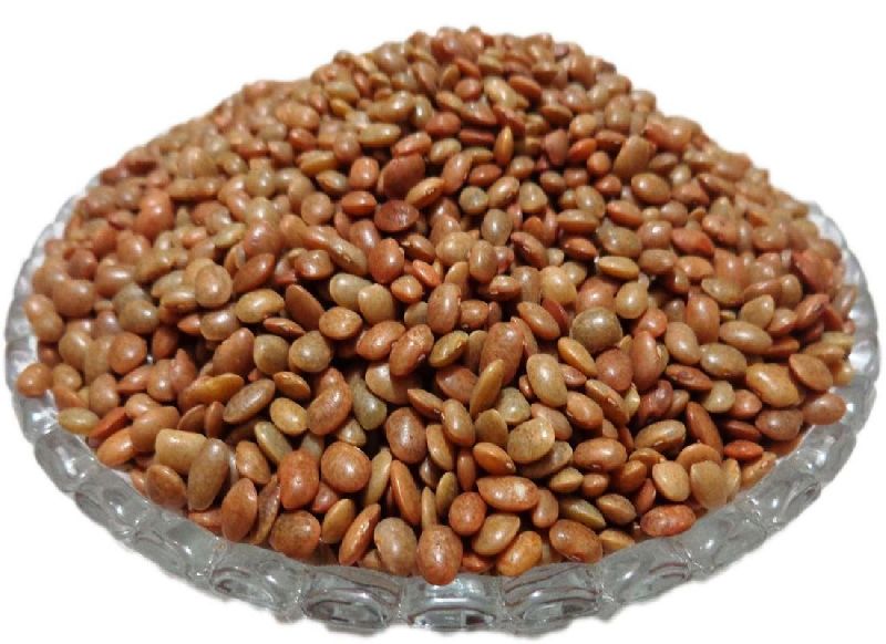 Horse Gram, for High in Protein, Packaging Size : 25kg, 50kg