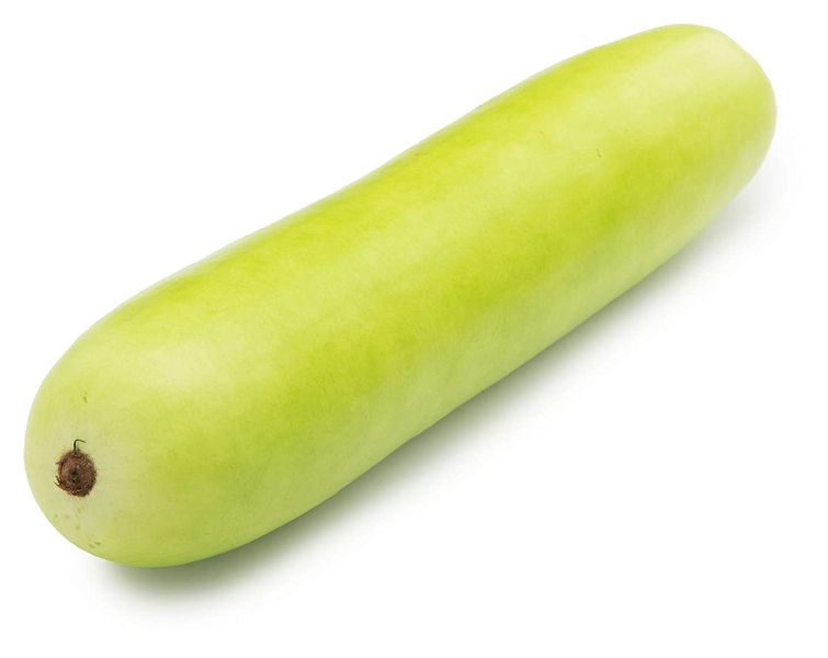 Fresh Bottle Gourd, Size : 30 - 40 cm