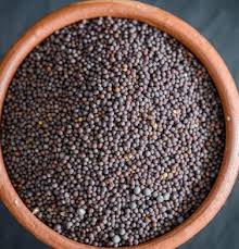 Organic black mustard seeds, Packaging Type : Jute Bag