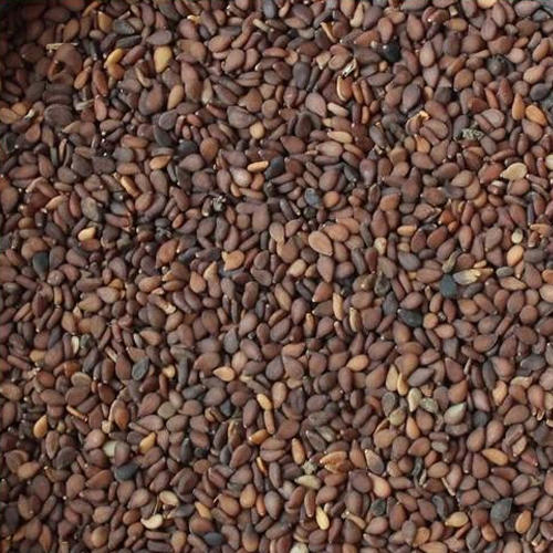 Organic Brown Sesame Seeds, for Making Oil, Packaging Type : Plastic Bag