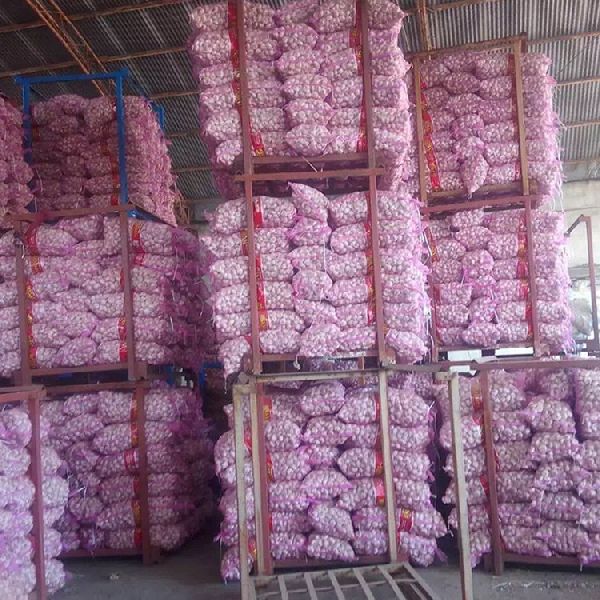 garlic exports