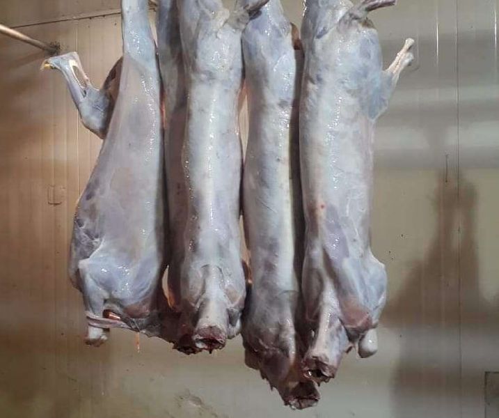 Frozen Mutton