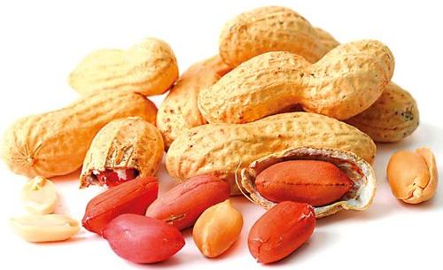 Graded Groundnuts, Style : Dried