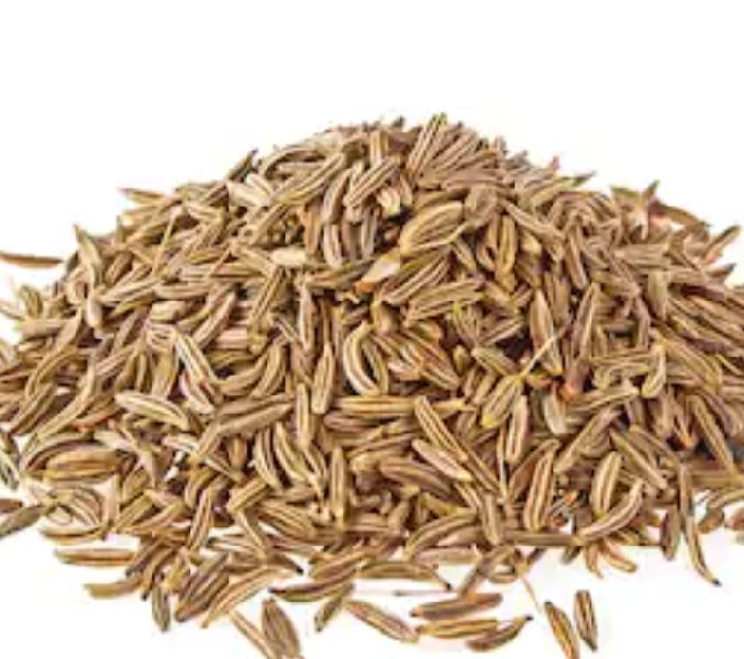 Cumin seeds, Style : Dried