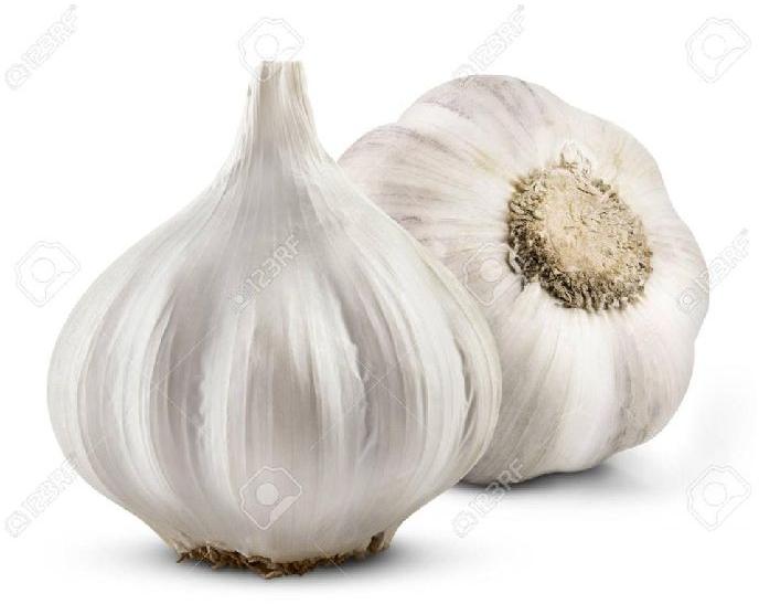 Common fresh white garlic, for Cooking, Style : Solid