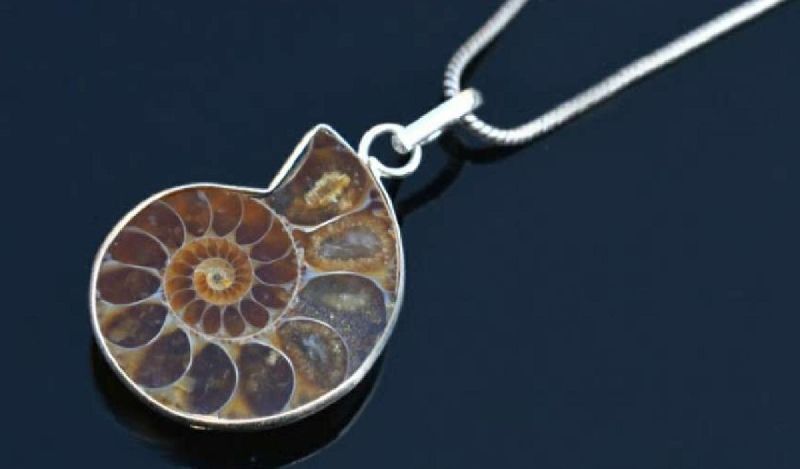 Unpolished Ammonite Fossil Pendant, for wearing, Packaging Type : box packaging