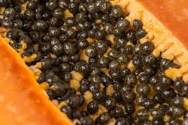 Papaya Seed Oil