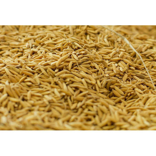 Organic rice bran oil, Shelf Life : 2 Year