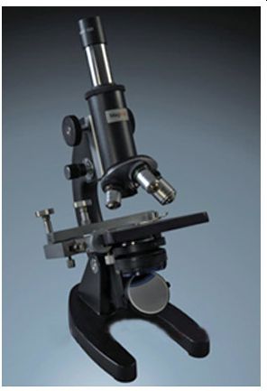 Microscope (HB)