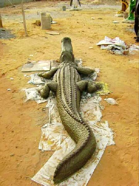 Cement Crocodile Statue, for Park, Zoo, Garden etc., Feature : Durable, Fine Finished