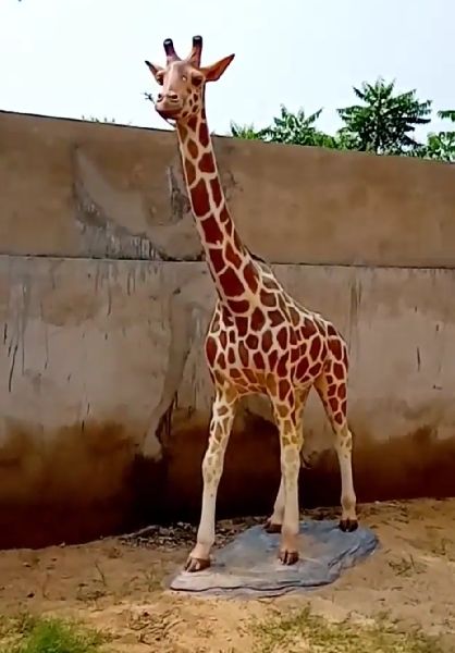 Cement Giraffe Statue