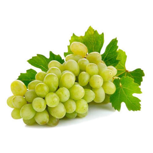 fresh green grapes