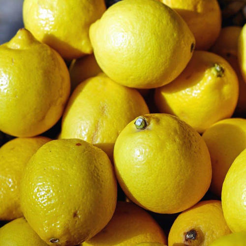 Organic fresh lemon, Taste : Sour