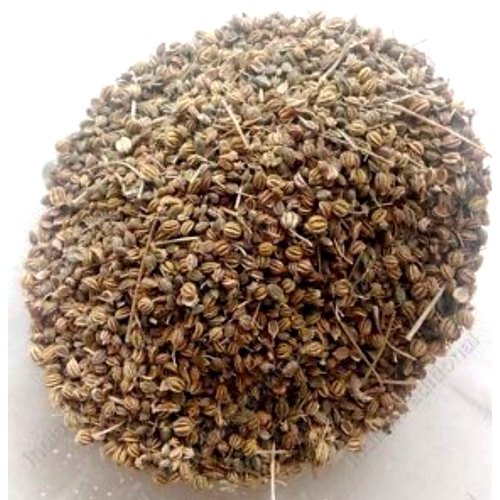 Ajmoda Seeds, Packaging Size : 40kg