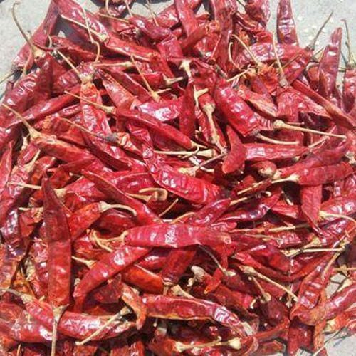 Guntur Red Chilli, for Cooking, Fast Food, Taste : Spicy