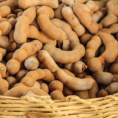 Common Organic Tamarind Pods, Packaging Type : Plastic Bag