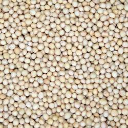 White Mustard Seeds, Packaging Type : Plastic Bag