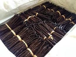 Common vanilla beans, Form : Dried, Wet