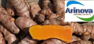 Natural Fresh Lakadong Turmeric, Certification : FSSAI Certified