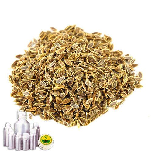 Dill Seed Oil, for Pharma as well as FMCG, Packaging Size : 1 kg to 200 kg