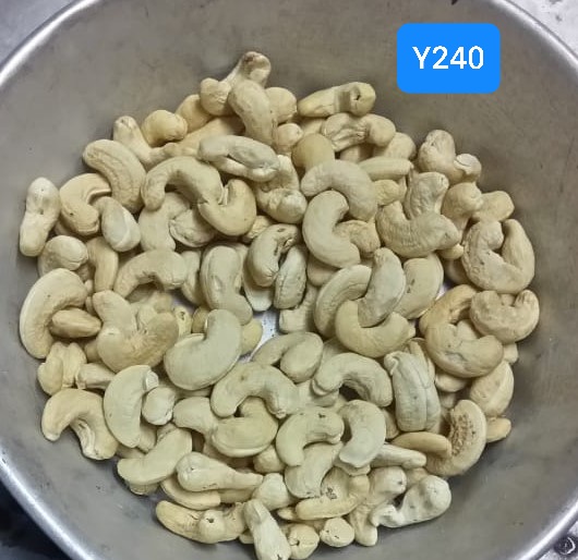 Y240 Cashew Nuts, Certification : FSSAI Certified