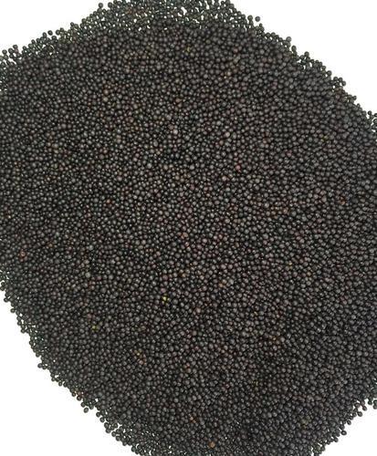 Rai Seeds, Color : Black