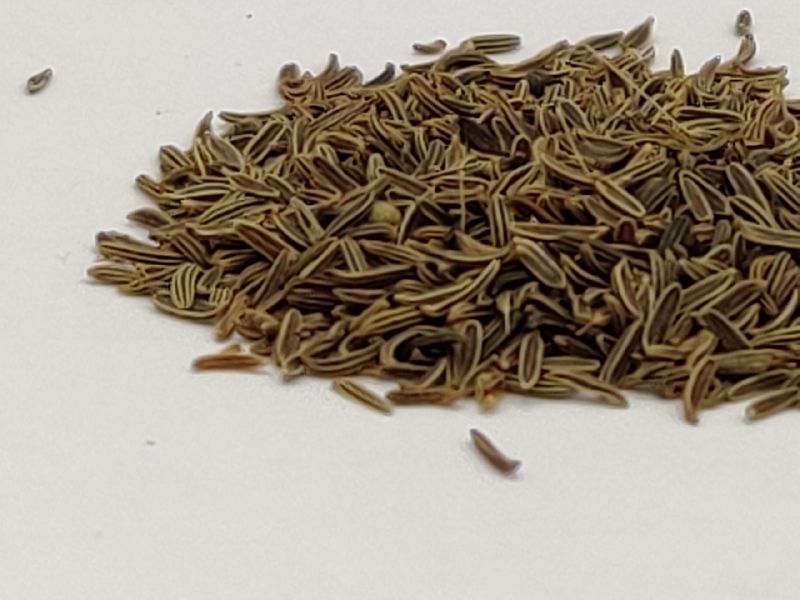 Shahi Jeera, Form : Seeds