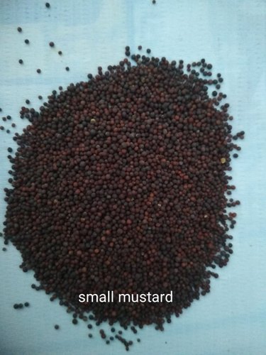 Organic black mustard seeds, Packaging Size : 15-20kg