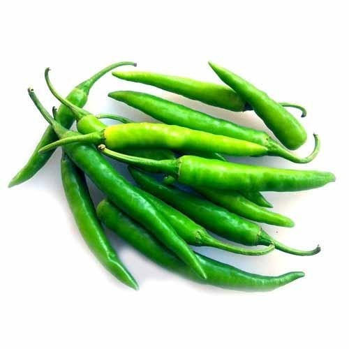 Organic Fresh Green Chilli, for High Nutritive Value, Packaging Type : Plastic Packet