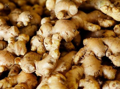 Organic fresh ginger, Style : Natural