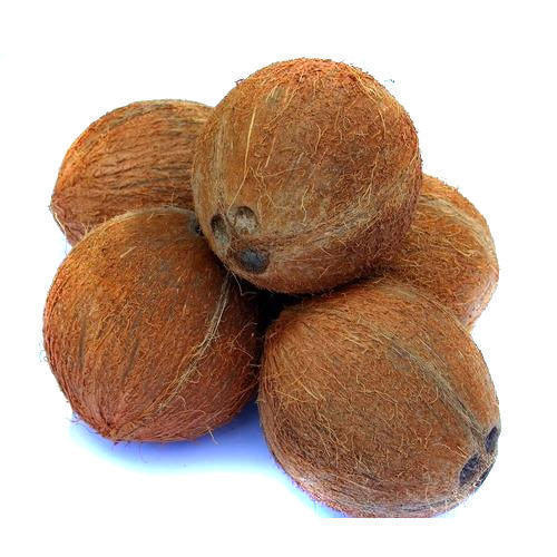 Organic Fully Husked Coconut, Color : Brown