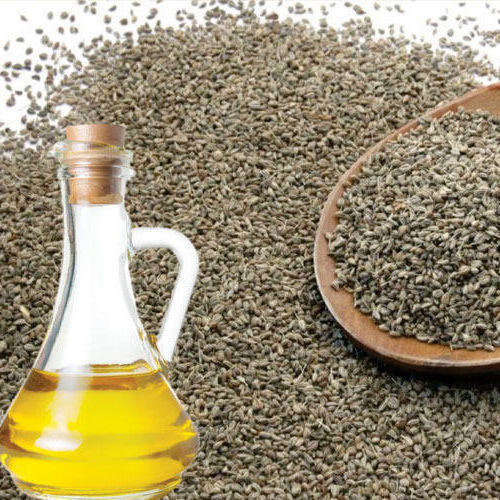 Organic Ajwain Seed Oil, Shelf Life : 1year