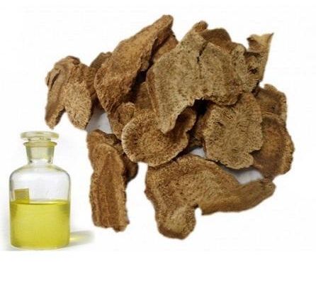 Costus Root Oil, for Cosmetics Purpose, Medical, Feature : Hygienically Packed, Regulates Blood Pressure