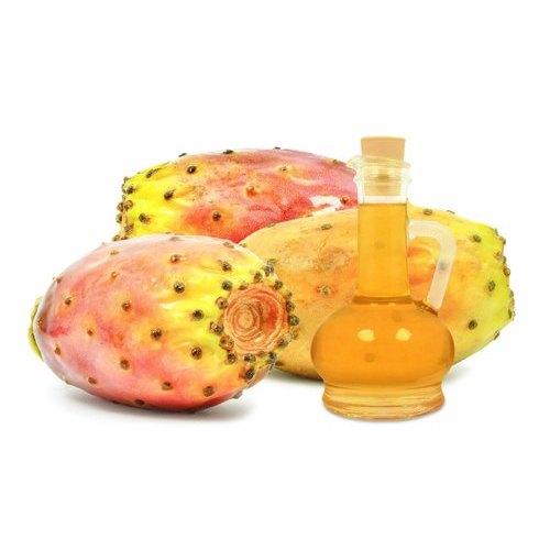 Prickly Pear Oil, Packaging Type : Glass Bottels, Plastic Bottels