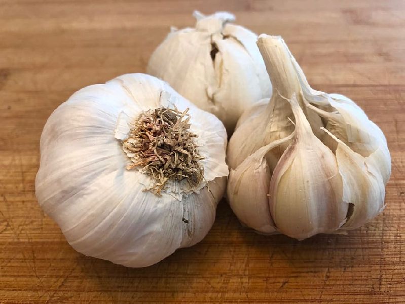 Fresh garlic, for Fast Food, Snacks, Feature : Dairy Free, Gluten Free