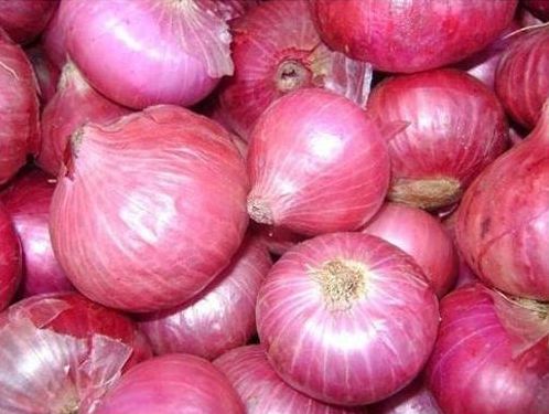 Organic Fresh Pink Onion, for Cooking, Packaging Type : PP Bags